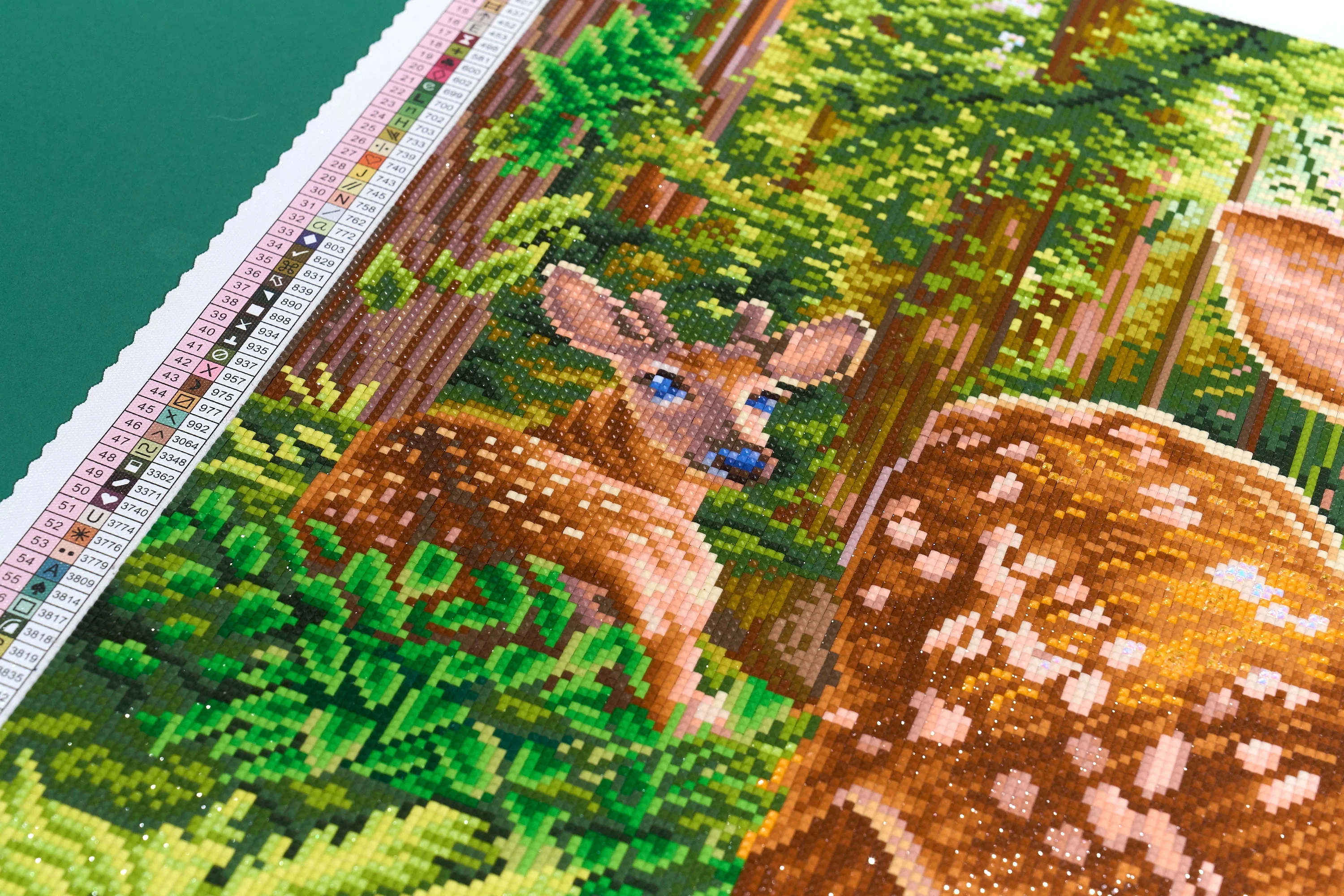Thumbnail 6