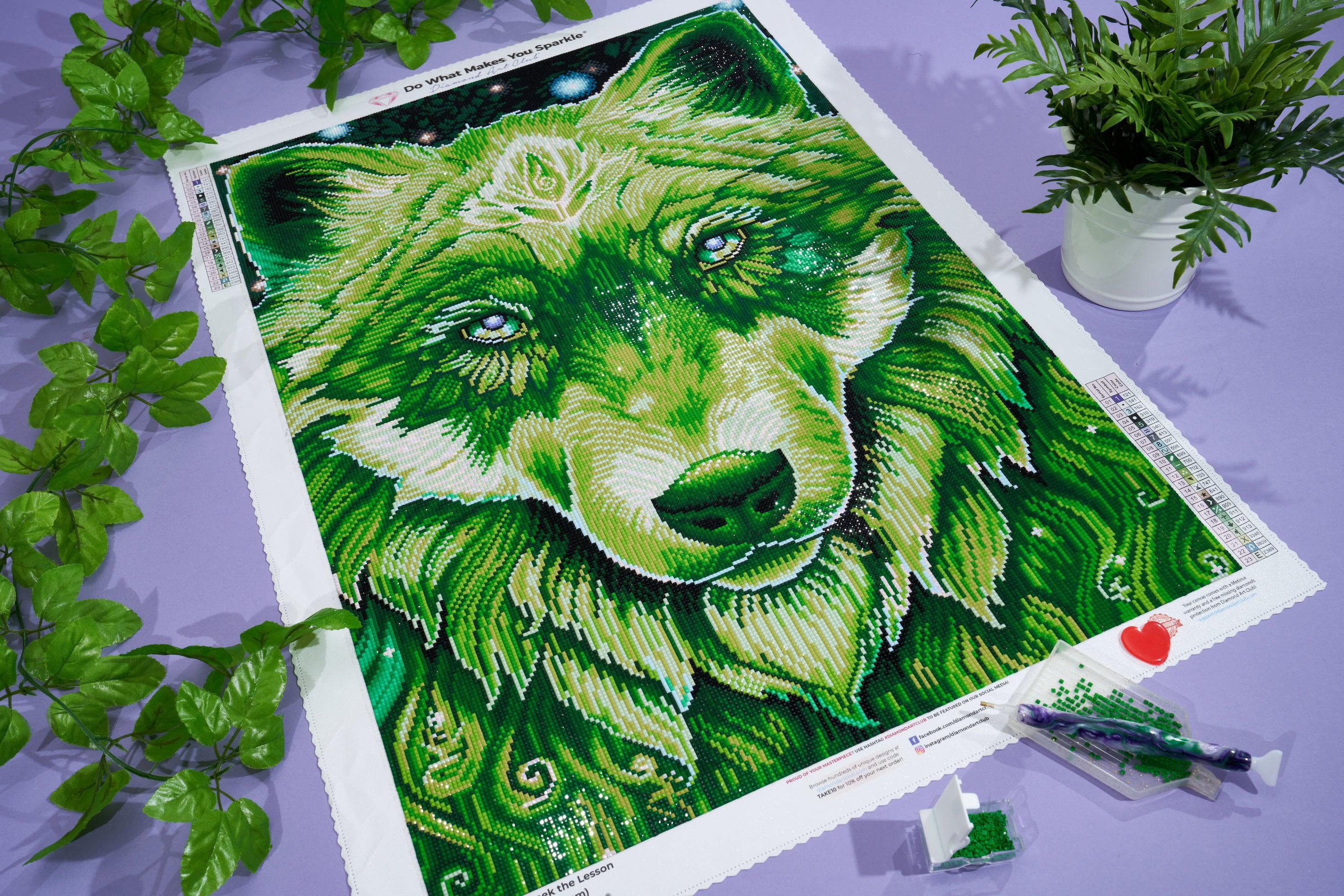 Thumbnail 6