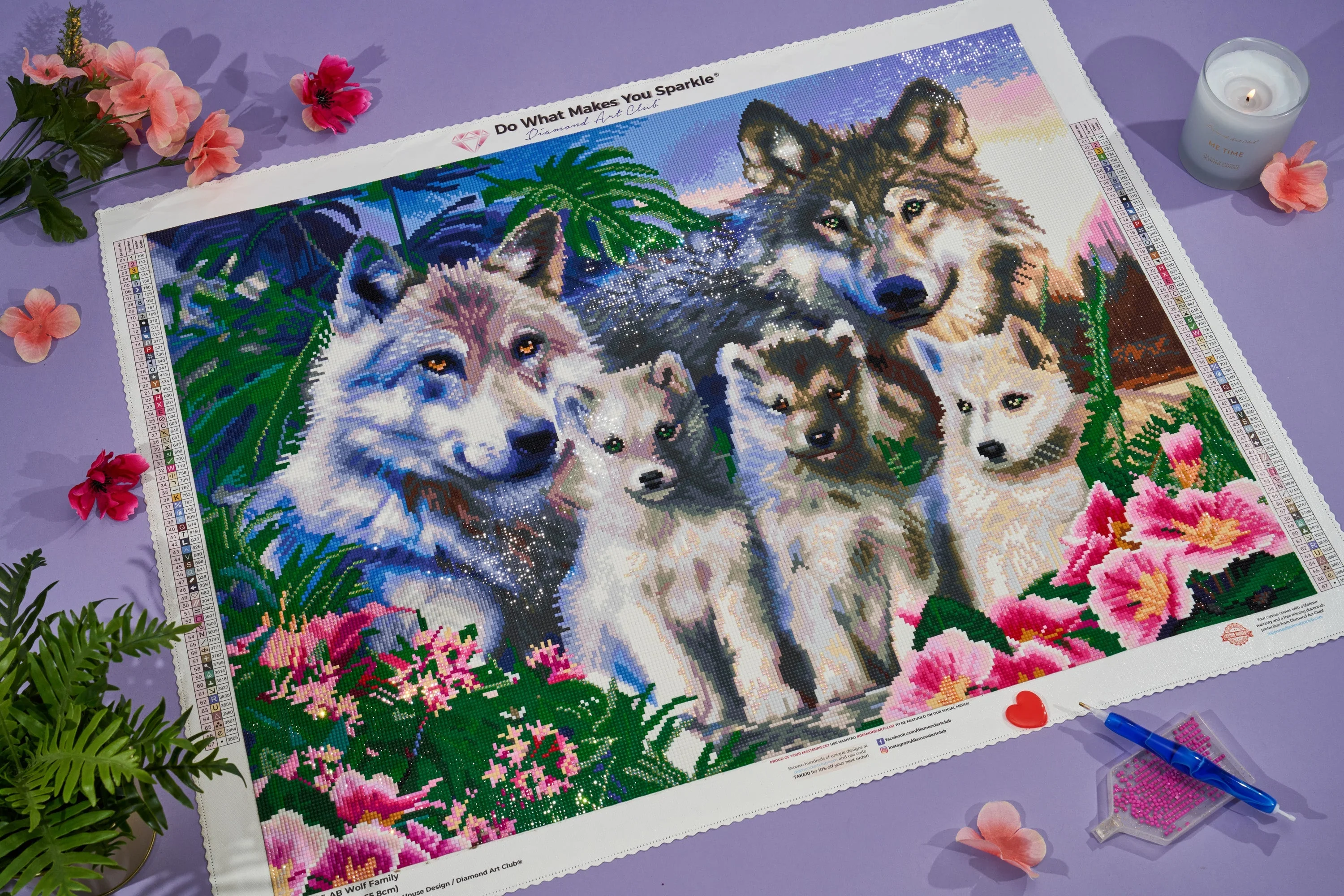 Thumbnail 6